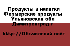 Продукты и напитки Фермерские продукты. Ульяновская обл.,Димитровград г.